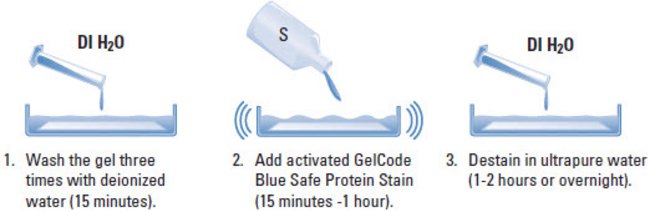 GelCode™ Blue Safe Protein Stain