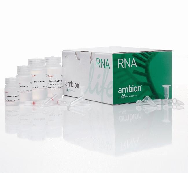PureLink™ RNA Mini Kit
