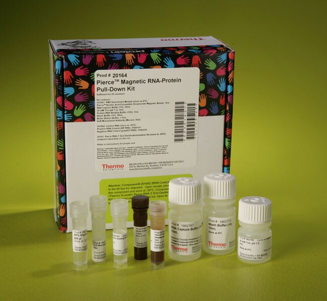 Pierce&trade; Magnetic RNA-Protein Pull-Down Kit