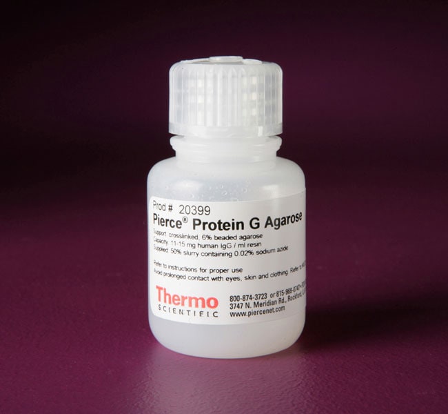 Pierce&trade; Protein G Agarose