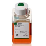 Fetal Bovine Serum, Value (formerly USDA-approved in North America or qualified, Brazil in other regions)