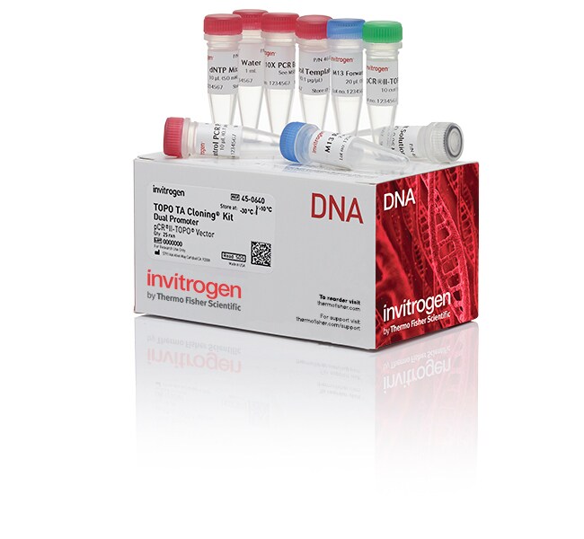 TOPO™ TA Cloning™ Kit, Dual Promoter, without competent cells