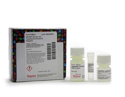 NE-PER™ Nuclear and Cytoplasmic Extraction Reagents