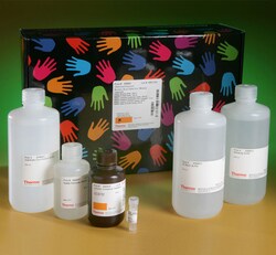 LightShift™ Chemiluminescent RNA EMSA Kit