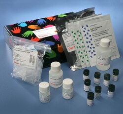 Pierce™ Cell Surface Protein Isolation Kit