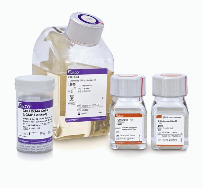 CHO DG44 Cells (cGMP banked) and Media Kit