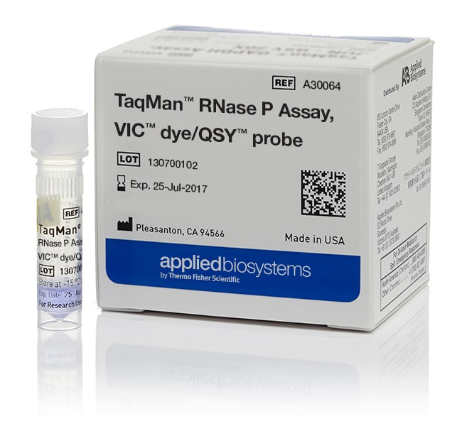 TaqMan™ RNase P Assay, VIC™ dye/QSY™ probe