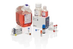 Expi293™ Inducible GnTI- Expression System Kit