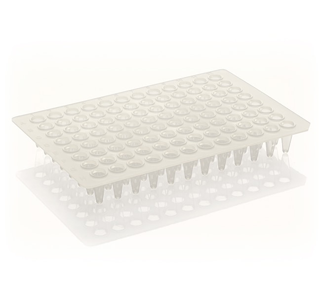 Placa de PCR, 96 pocillos, perfil bajo, sin faldón, blanca