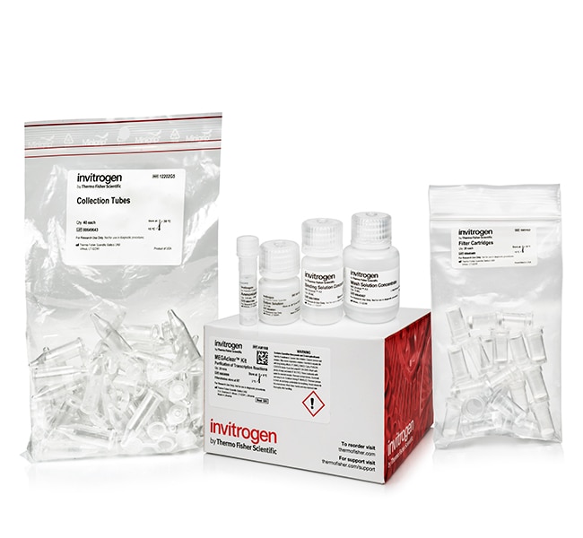 MEGAclear&trade; Transcription Clean-Up Kit