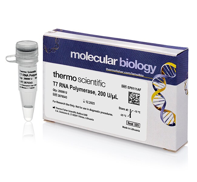 RNA Polymerases