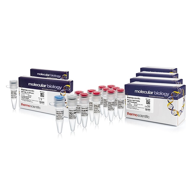 Phusion™ High-Fidelity DNA Polymerase & dNTP Mix (10 mM each)