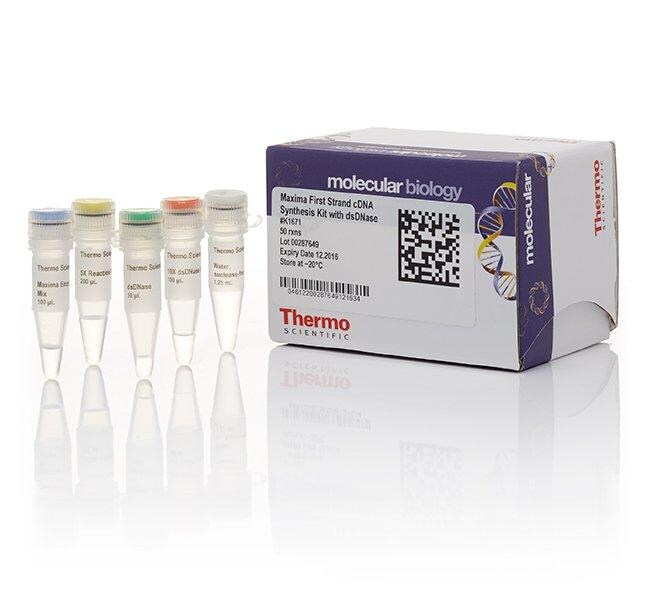 Maxima First Strand cDNA Synthesis Kit for RT-qPCR, with dsDNase
