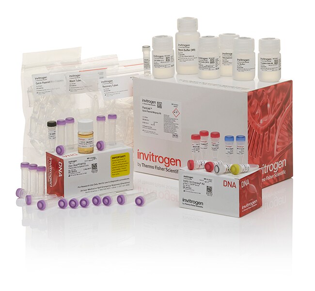 TOPO&trade; TA Cloning&trade; Kit, with pCR&trade;2.1-TOPO&trade;, One Shot TOP10 Chemically Competent <i>E. coli</i>, and PureLink&trade; Quick Plasmid Miniprep Kit