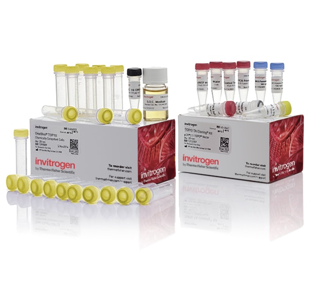 TOPO&trade; TA Cloning&trade; Kit for Subcloning, with One Shot&trade; TOP10 Electrocomp&trade; <i>E. coli</i>
