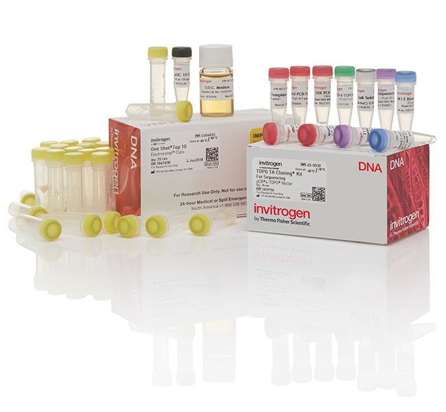 TOPO&trade; TA Cloning&trade; Kit for Sequencing, with One Shot&trade; TOP10 Electrocomp&trade; <i>E. coli</i>