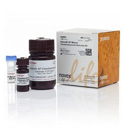 Novex™ AP Mouse Chemiluminescent Detection Kit