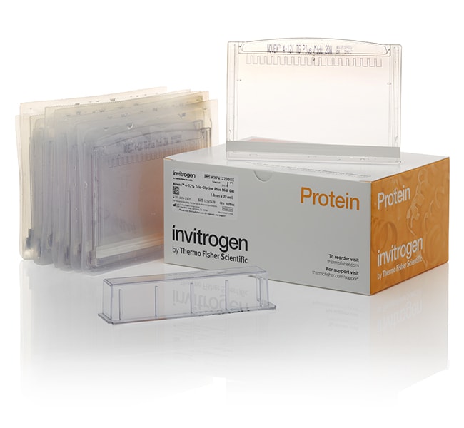 Novex&trade; 12% Tris-Glycine Plus, 1.0 mm, Midi Protein Gels
