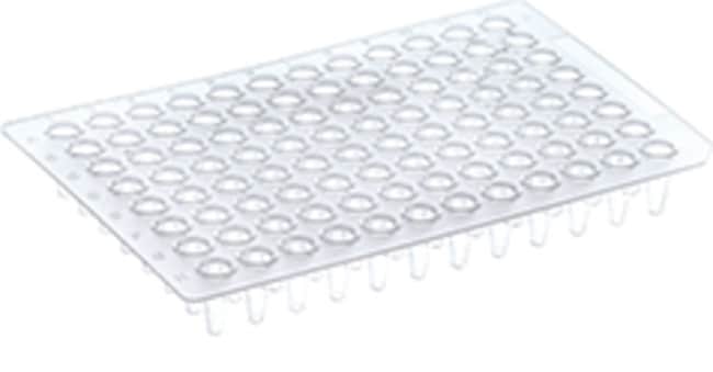 PCR Plate, 96-well, low profile, non-skirted, blue