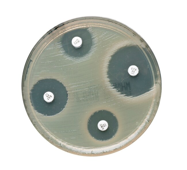 Oxoid™ Cefoxitin Antimicrobial Susceptibility discs