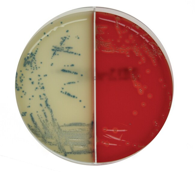 Columbia Agar with Sheep Blood PLUS / Brilliance&trade; MRSA 2 Agar