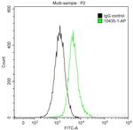 BAD Antibody in Flow Cytometry (Flow)