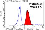 IFNAR2 Antibody in Flow Cytometry (Flow)