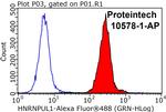 HNRNPUL1 Antibody in Flow Cytometry (Flow)