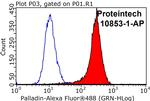 Palladin Antibody in Flow Cytometry (Flow)