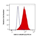 MYL3 Antibody in Flow Cytometry (Flow)