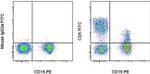 CD5 Antibody in Flow Cytometry (Flow)