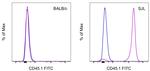 CD45.1 Antibody in Flow Cytometry (Flow)