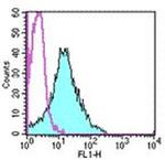 CD54 (ICAM-1) Antibody in Flow Cytometry (Flow)