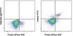 HELIOS Antibody in Flow Cytometry (Flow)