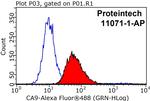 CA9 Antibody in Flow Cytometry (Flow)