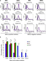 CD29 (Integrin beta 1) Antibody in Flow Cytometry (Flow)