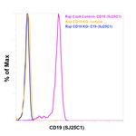 CD19 Antibody in Flow Cytometry (Flow)