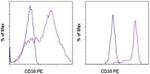 CD38 Antibody in Flow Cytometry (Flow)