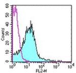 CD51 (Integrin alpha V) Antibody in Flow Cytometry (Flow)