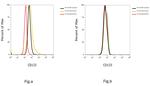 CD133 (Prominin-1) Antibody