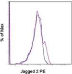 Jagged 2 Antibody in Flow Cytometry (Flow)