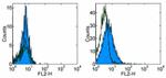 CD254 (RANK Ligand) Antibody in Flow Cytometry (Flow)