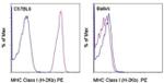 MHC Class I (H-2Kb) Antibody in Flow Cytometry (Flow)