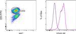 DDX5 Antibody in Flow Cytometry (Flow)