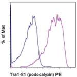 TRA-1-81 (Podocalyxin) Antibody in Flow Cytometry (Flow)