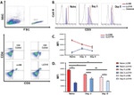 CD5 Antibody in Flow Cytometry (Flow)