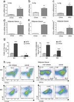 IL-1 beta (Pro-form) Antibody in Flow Cytometry (Flow)