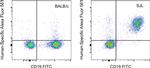 CD4 Antibody in Flow Cytometry (Flow)