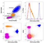 CD15 Antibody