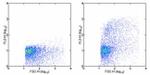 CD106 (VCAM-1) Antibody in Flow Cytometry (Flow)